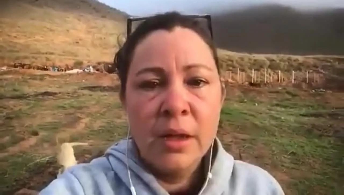 La activista Guillermina Galván denunció el hecho en redes