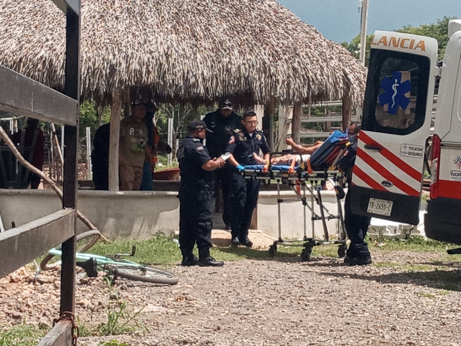 El hombre fue herido por el animal en un rancho de Baca El hombre fue herido por el animal en un rancho de Baca