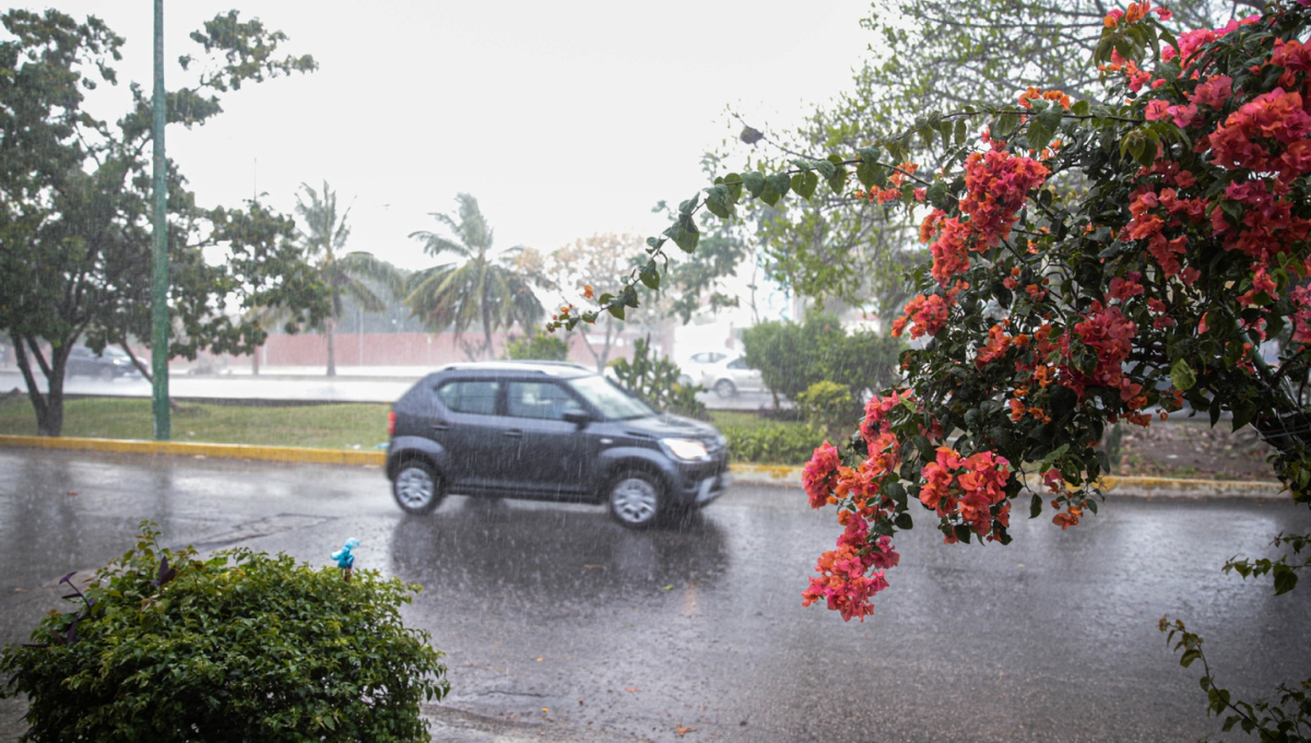 Las altas temperaturas y las lluvias persistirán todo el fin de semana Las altas temperaturas y las lluvias persistirán todo el fin de semana