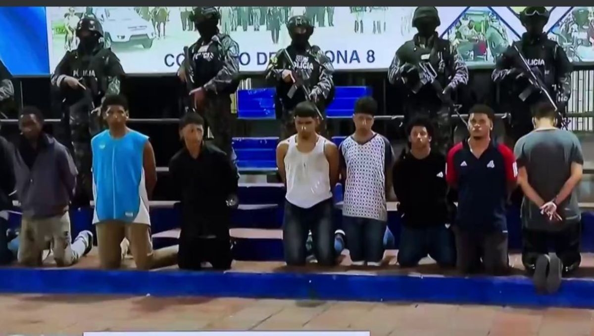 La Secretaria de Relaciones Exteriores expresó la solidaridad del Gobierno de México con el Gobierno y pueblo ecuatorianos