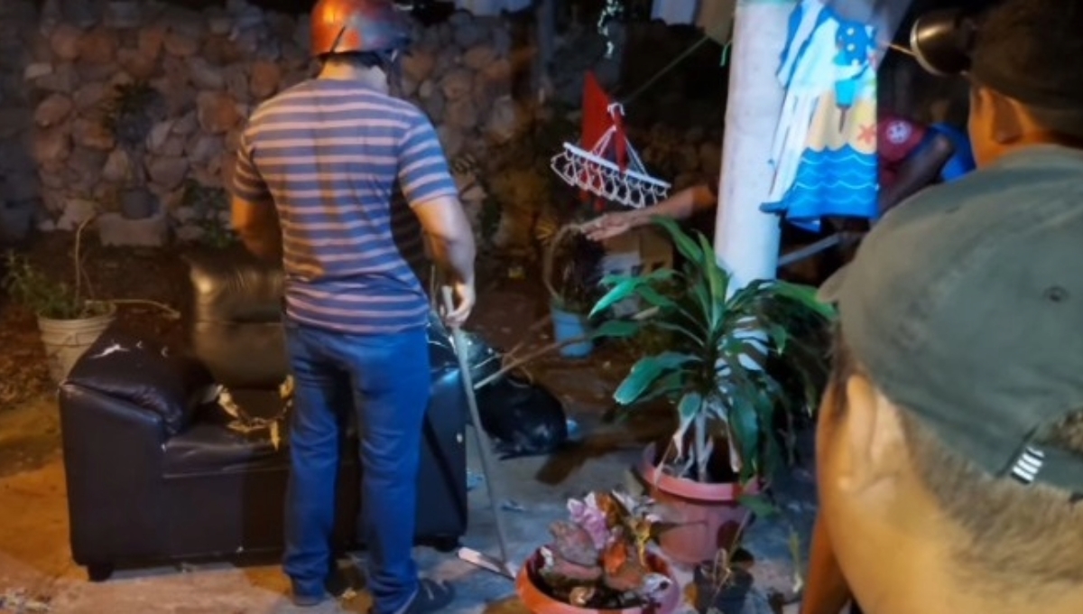 Hasta el momento no se ha dado con el paradero del dueño del pitbull Hasta el momento no se ha dado con el paradero del dueño del pitbull