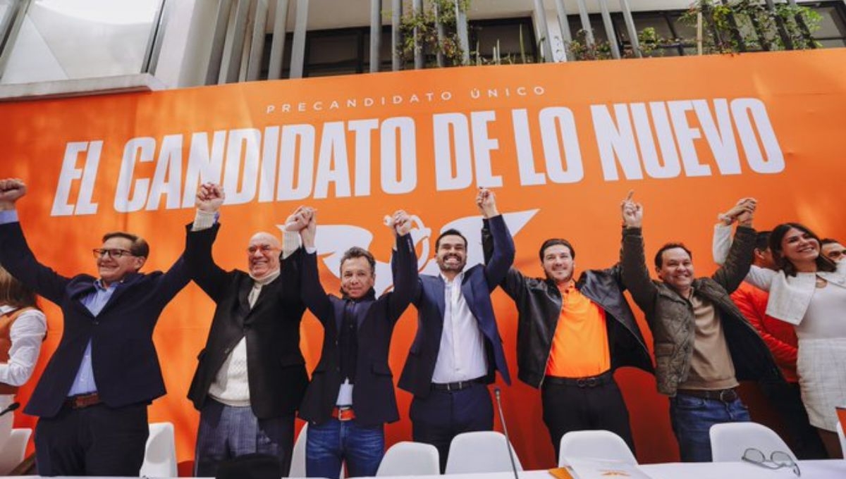 La senadora Indira Kempis  impugnó la precandidatura de Jorge Álvarez Máynez ante el Tribunal Electoral del Poder Judicial de la Federación
