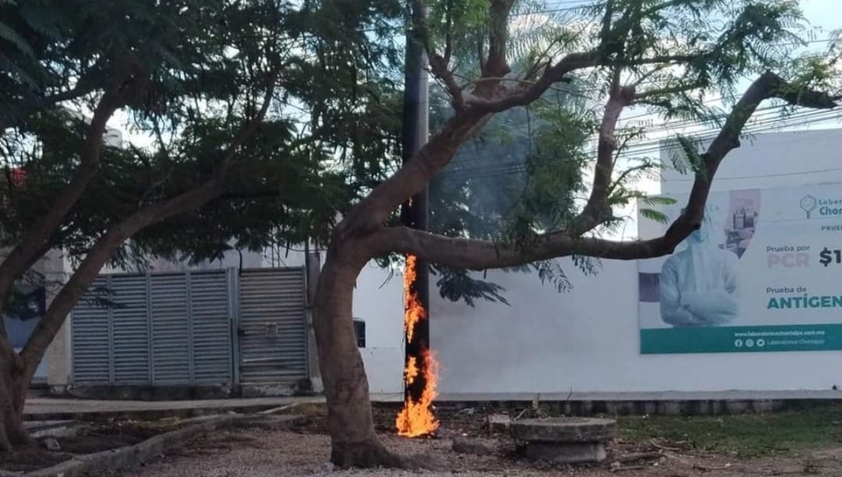 El reporte del incendio en Caucel circula en redes sociales