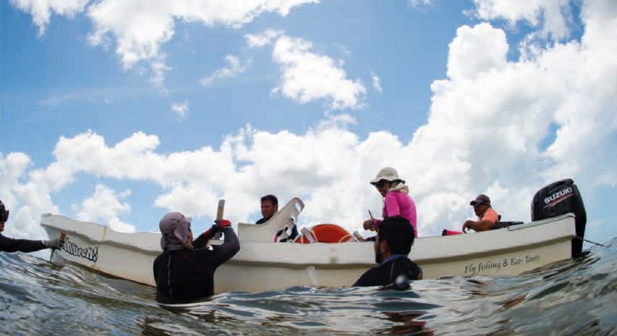 Cada año concurren millones de visitantes a las Áreas Naturales Protegidas de Quintana Roo, quienes dejan una importante descarga de aguas residuales. (