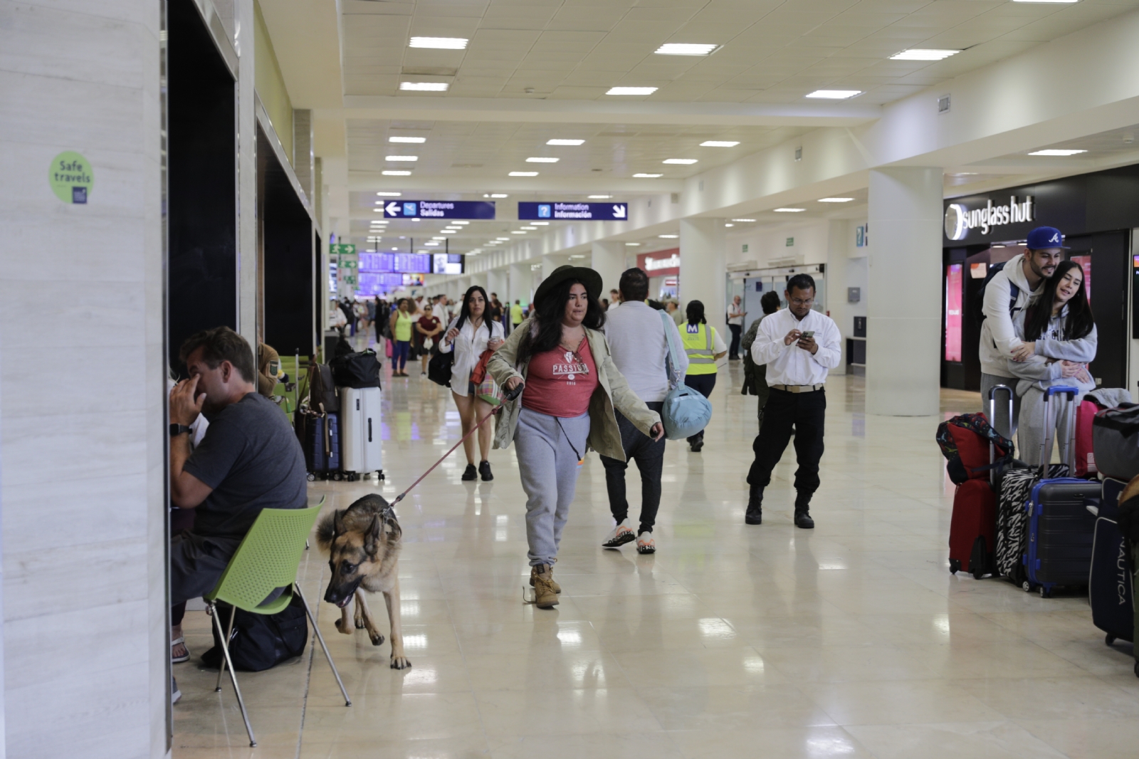 Aeropuerto de Cancún: Viajar con mascotas, una tendencia que crece en el mercado aéreo