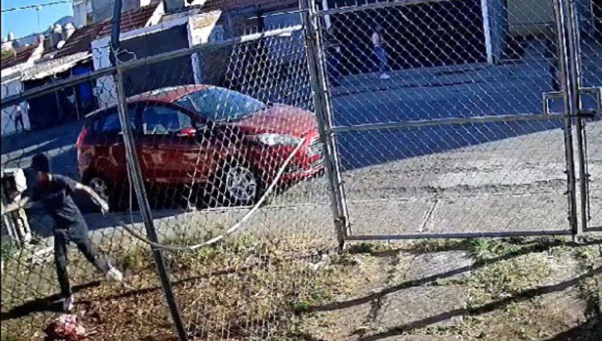 Una cámara de seguridad logró captar el momento en uqe un joven balea a un perro en la colonia Arko San Antonio de Morelia, Michoacán Una cámara de seguridad logró captar el momento en uqe un joven balea a un perro en la colonia Arko San Antonio de Morelia, Michoacán