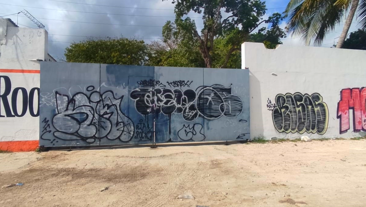 Según la Alcaldesa, los autores son jóvenes integrantes de pandillas o “banditas”. (