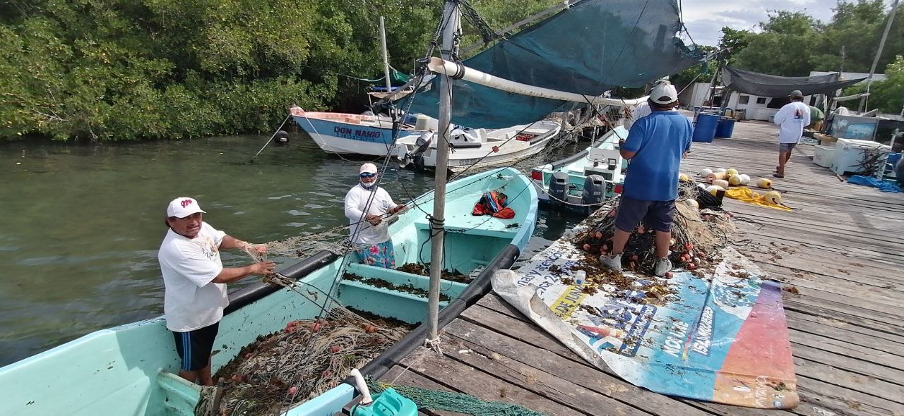 En los dos últimos años, los precios de los productos de mar se redujeron hasta en 50 por ciento, lamentaron los agremiados