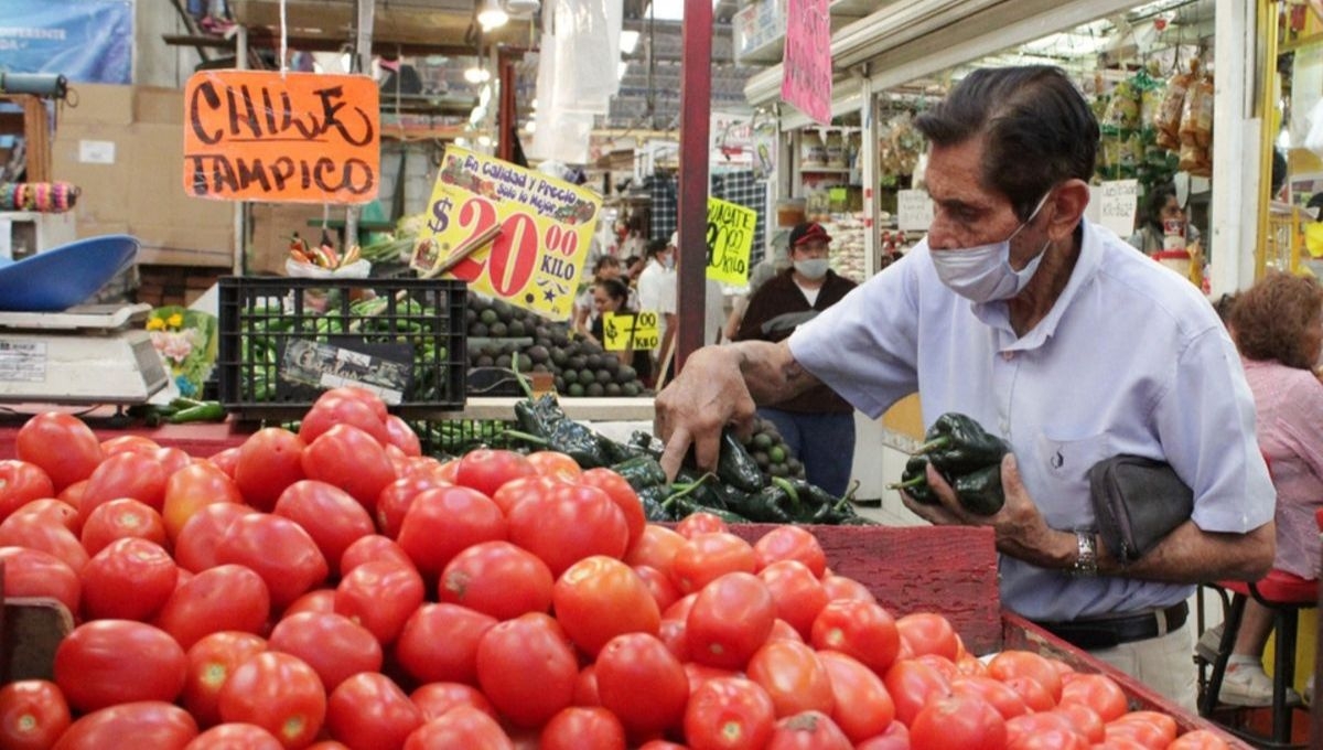 Inflación durante la primera quincena de enero se ubicó en 4.90%