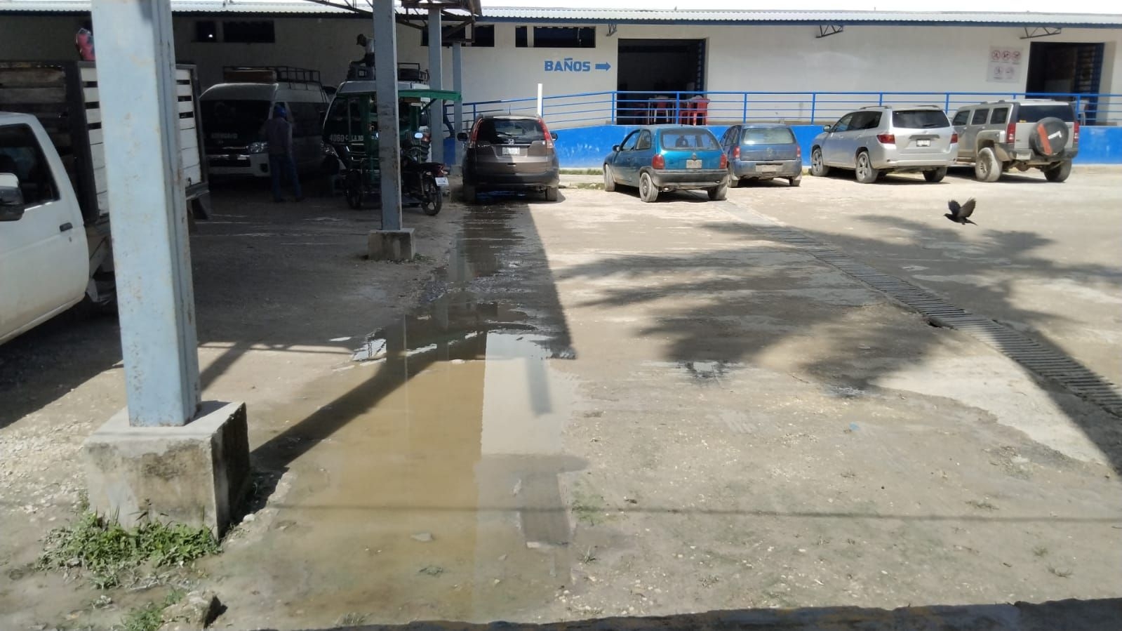 La fuga de aguas negras ahuyenta a los comensales del área de alimentos del mercado municipal La fuga de aguas negras ahuyenta a los comensales del área de alimentos del mercado municipal