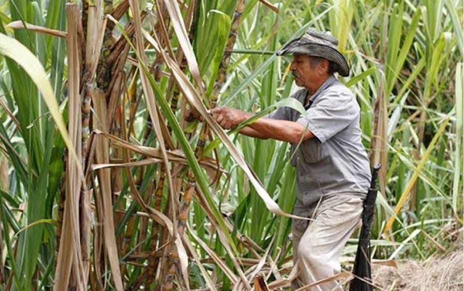 De acuerdo con los pronósticos, las condiciones climáticas adversas continuarán. De acuerdo con los pronósticos, las condiciones climáticas adversas continuarán.