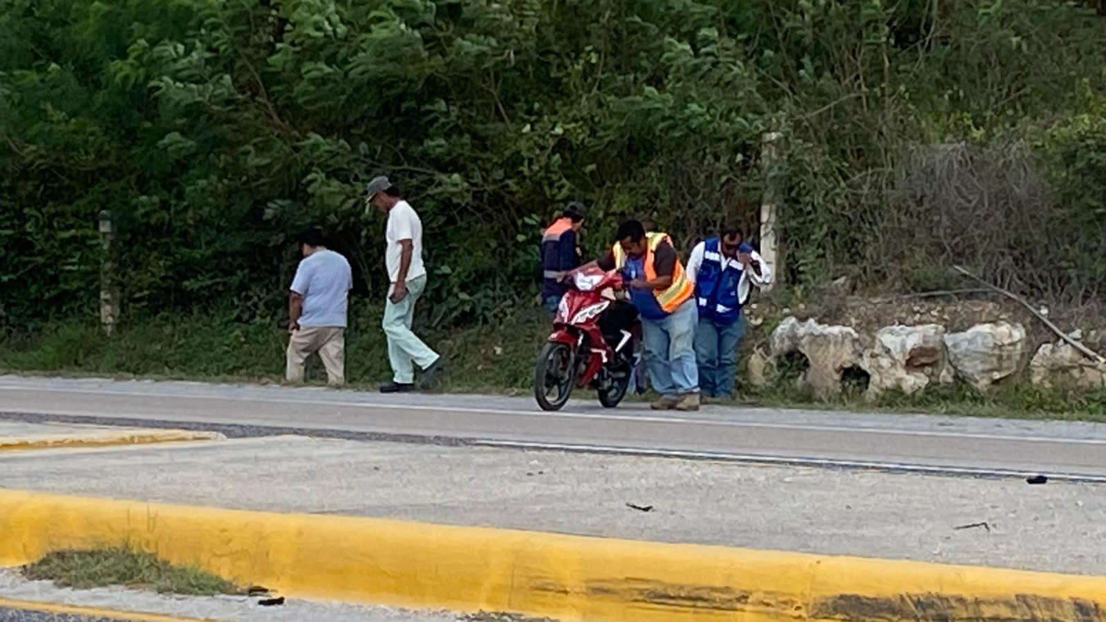 Testigos al creer que estaba malherido dieron parte al número de emergencias