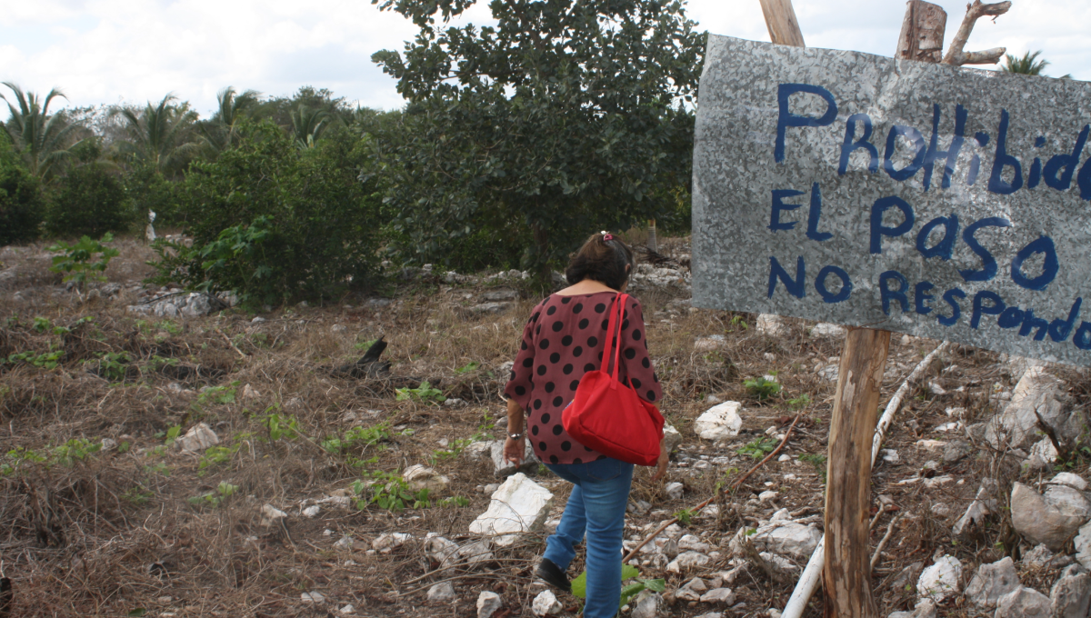 El punto de reunión es el parque de San Eduardo, ubicado unos 300 metros de la entrada de Bachoco