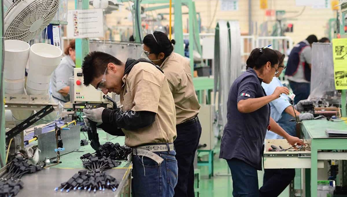 La Encuesta Nacional de Ocupación y Empleo del INEGI, reportó que la tasa de desempleo durante el pasdo mes de diciembre fue de 2.6%