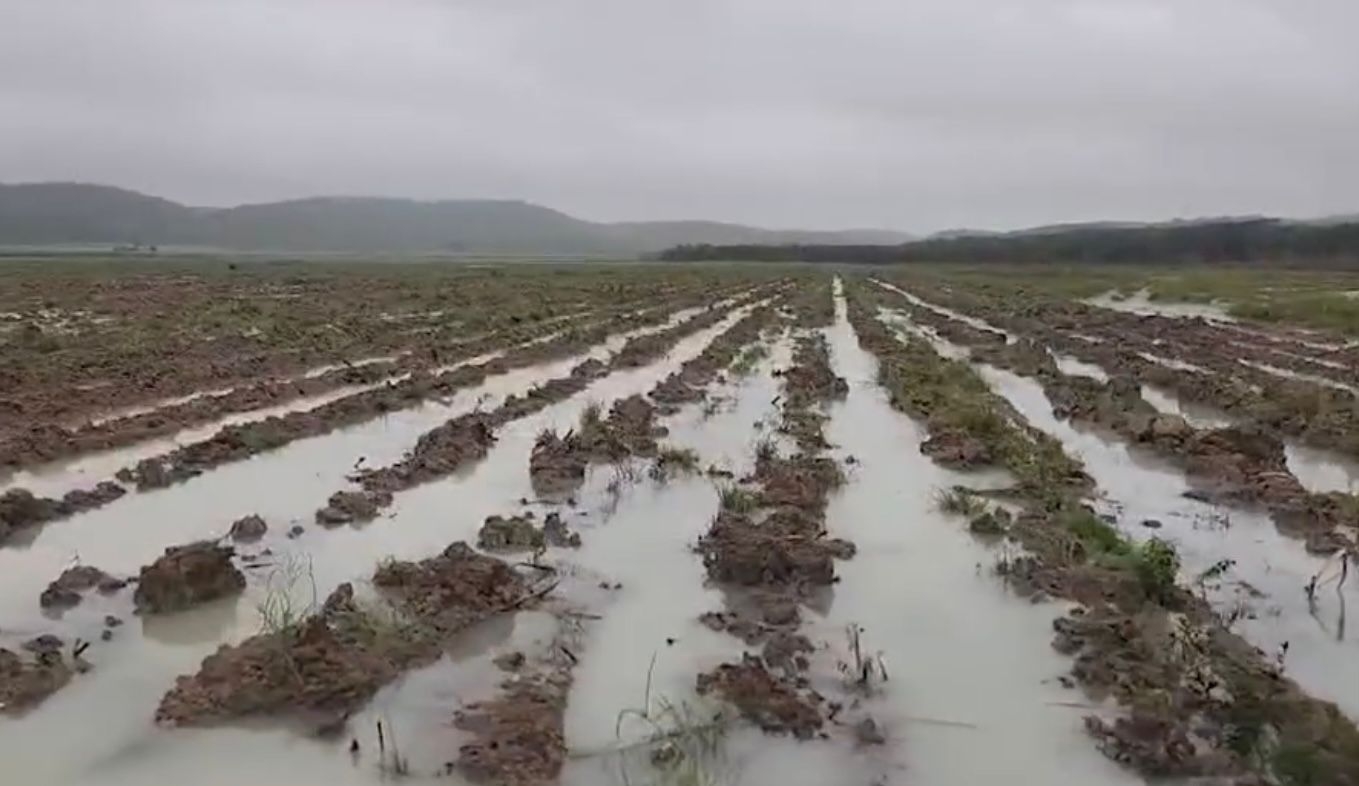 La molienda en el Ingenio San Rafel de Pucté es afectada por el temporal que ingresó a Quintana Roo el fin de semana pasado. La molienda en el Ingenio San Rafel de Pucté es afectada por el temporal que ingresó a Quintana Roo el fin de semana pasado.