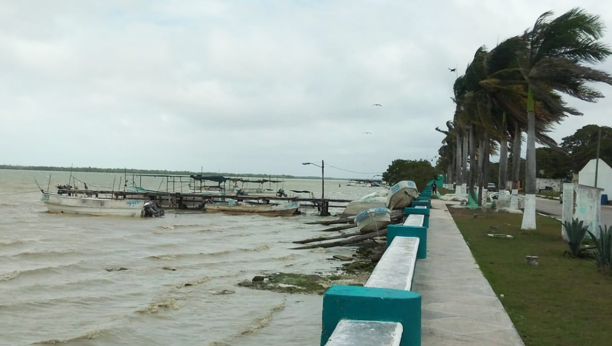 El Frente Frío frena la captura de escamas el litoral en Campeche