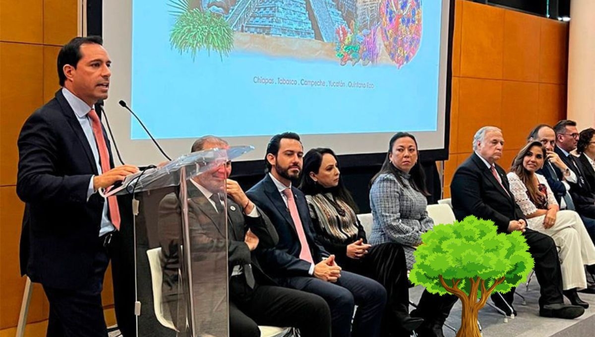 Esta es la marca de árboles plantados en la administración de Mauricio Vila