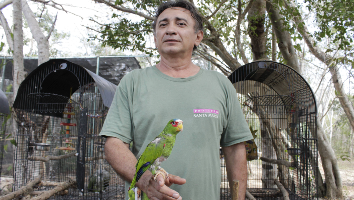 Medina Ancona indicó que en esta unidad hay casos de aves que fueron rescatadas muy maltratadas Medina Ancona indicó que en esta unidad hay casos de aves que fueron rescatadas muy maltratadas
