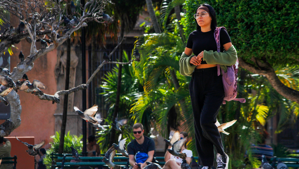 Visitar Yucatán es toda una experiencia, ya sea por su arquitectura o por las palabras que usa
