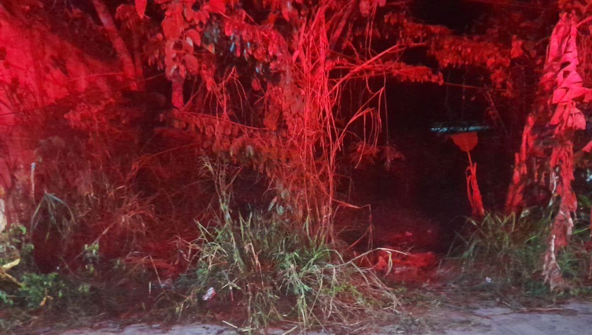 Una mujer fue atacada en Escárcega Una mujer fue atacada en Escárcega