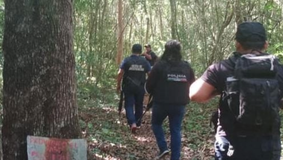 Trascendió que los agentes ingresaron a la altura del kilómetro 3 + 200 del libramiento de Felipe Carrillo Puerto Trascendió que los agentes ingresaron a la altura del kilómetro 3 + 200 del libramiento de Felipe Carrillo Puerto