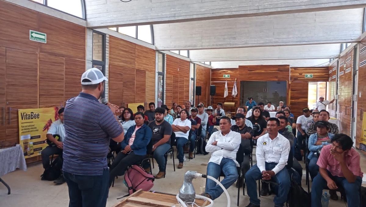 En el plantel educativo de Escárcega se cuenta con una matrícula de 178 estudiantes y ocho docentes En el plantel educativo de Escárcega se cuenta con una matrícula de 178 estudiantes y ocho docentes