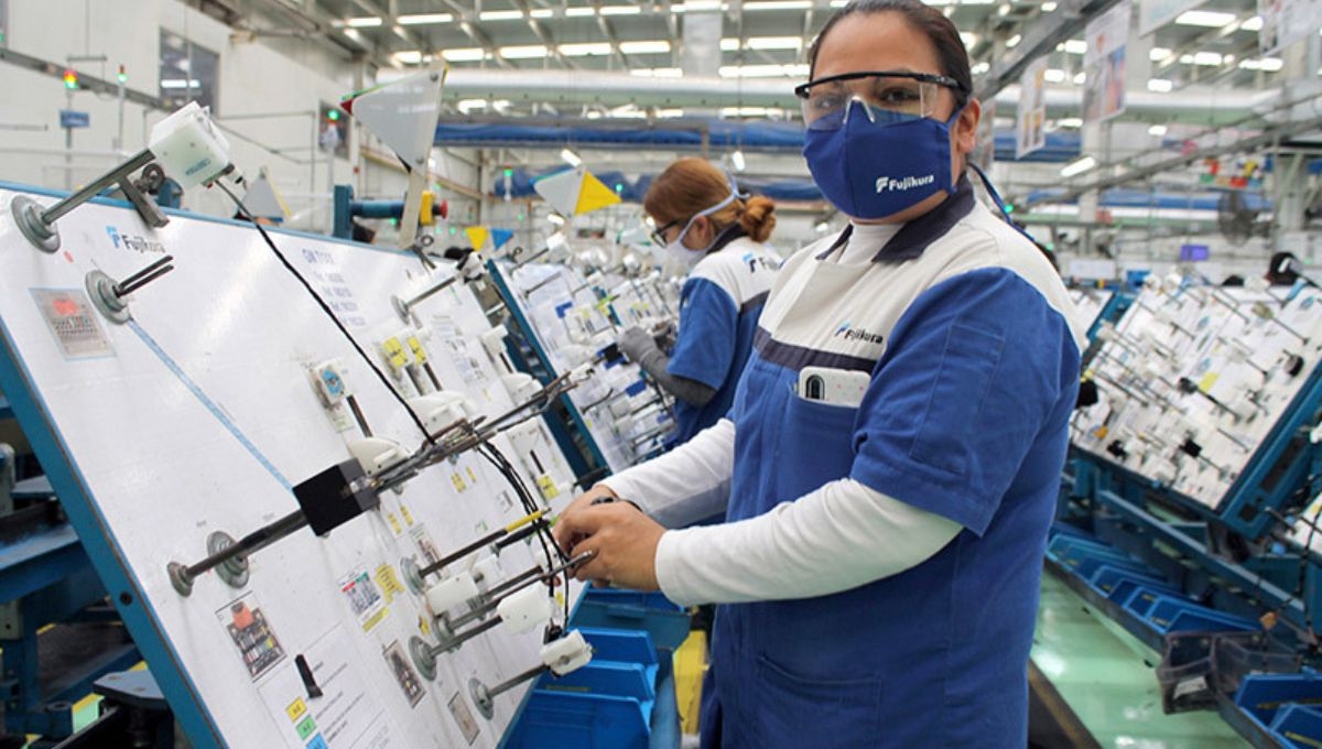 México concluyó investigación contra la planta de Fujikura Automotive de Coahuila