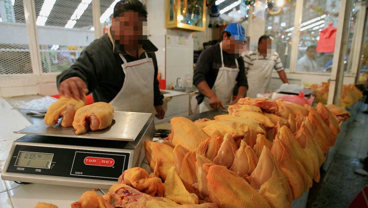La Secretaria de Seguridad y Protección Ciudadana, Rosa Icela Rodríguez, aseguró que se investigan las extorsiones a polleros en el sur del Estado de México