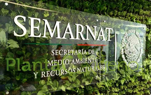 Esta es la postura que presentó la Semarnat Esta es la postura que presentó la Semarnat