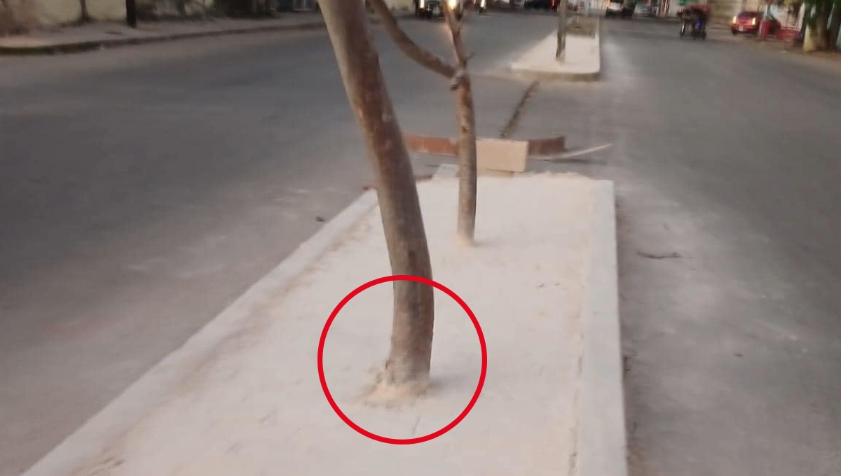 El Ayuntamiento de Kanasín ya trató de arreglar la banqueta mal diseñada El Ayuntamiento de Kanasín ya trató de arreglar la banqueta mal diseñada