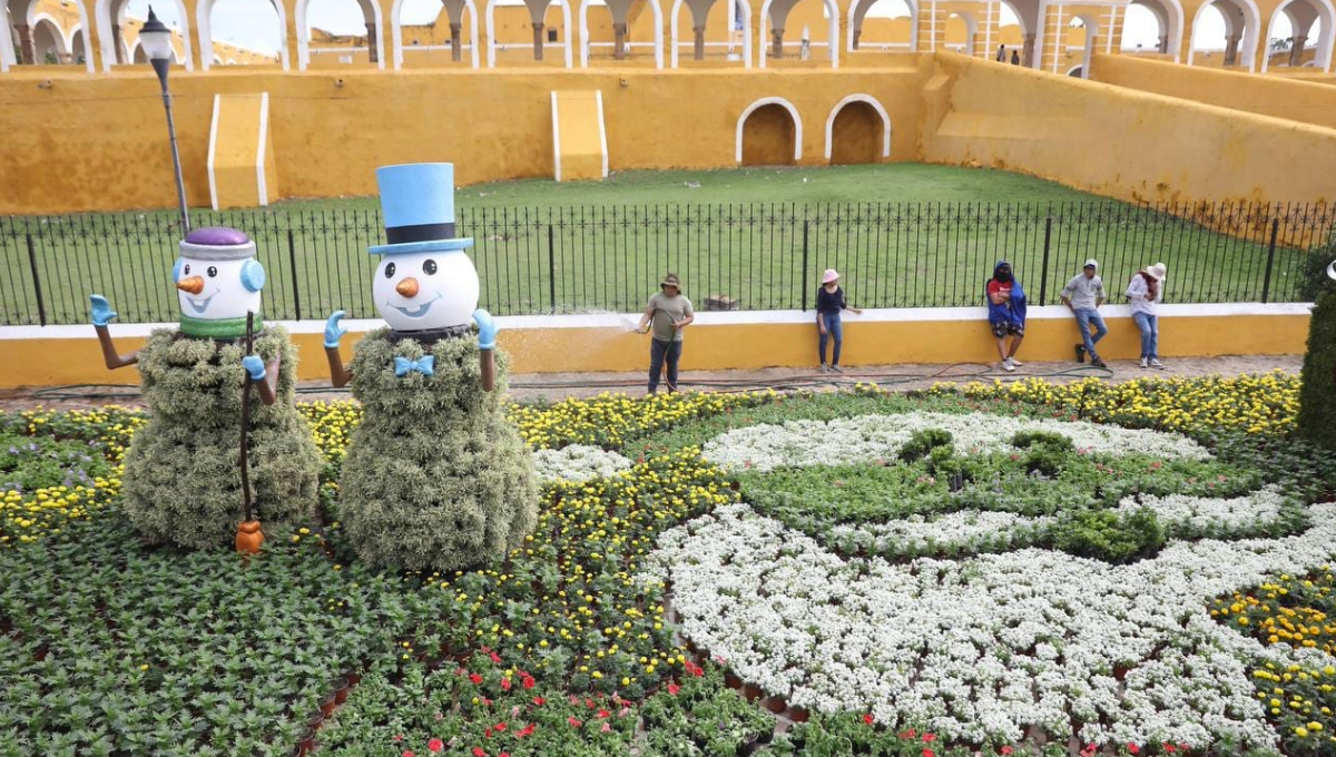 En las muestras se utilizaron especies como petunias de varios colores