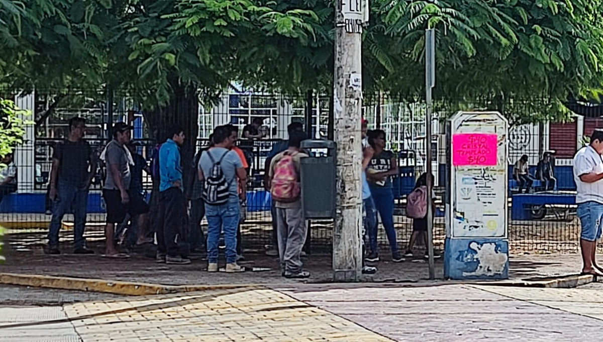 Tienen quejas por confiar en personas que no les han dado totalmente saldado su salario.