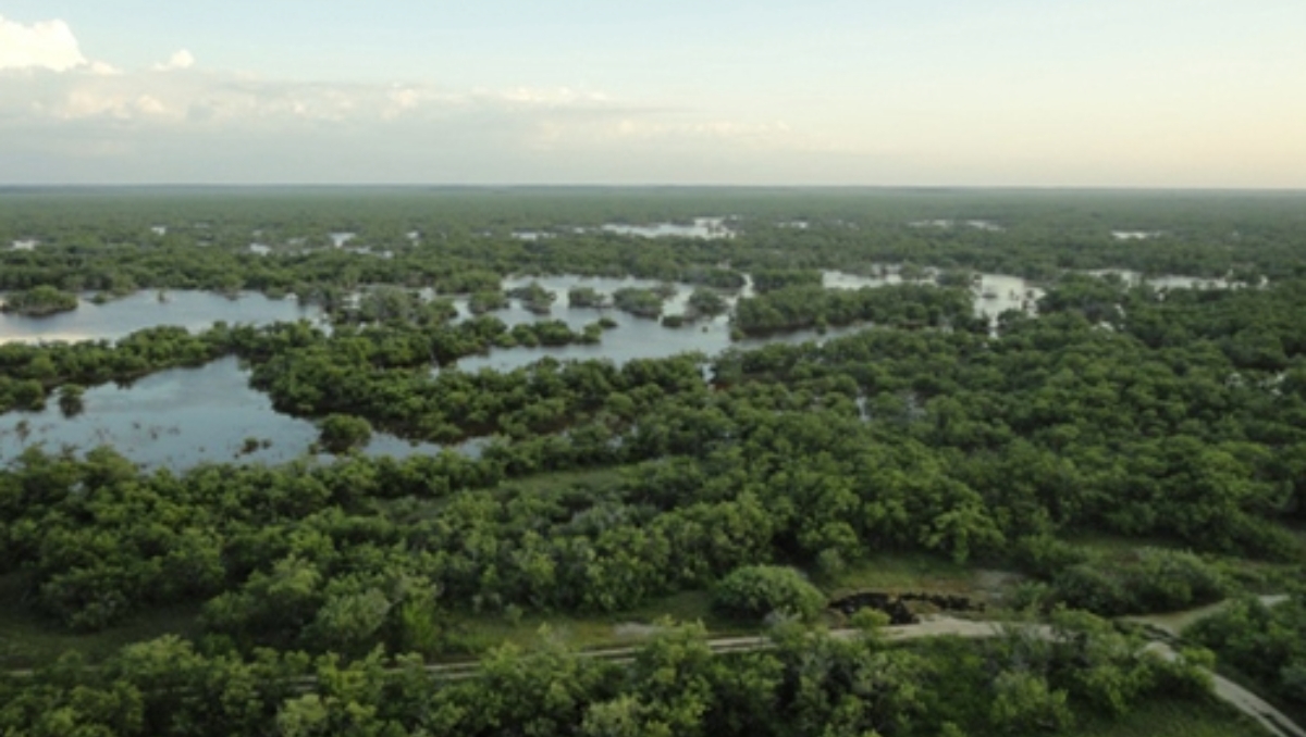 Yucatán forma parte de sitos declarados Áreas Naturales Protegidas Yucatán forma parte de sitos declarados Áreas Naturales Protegidas