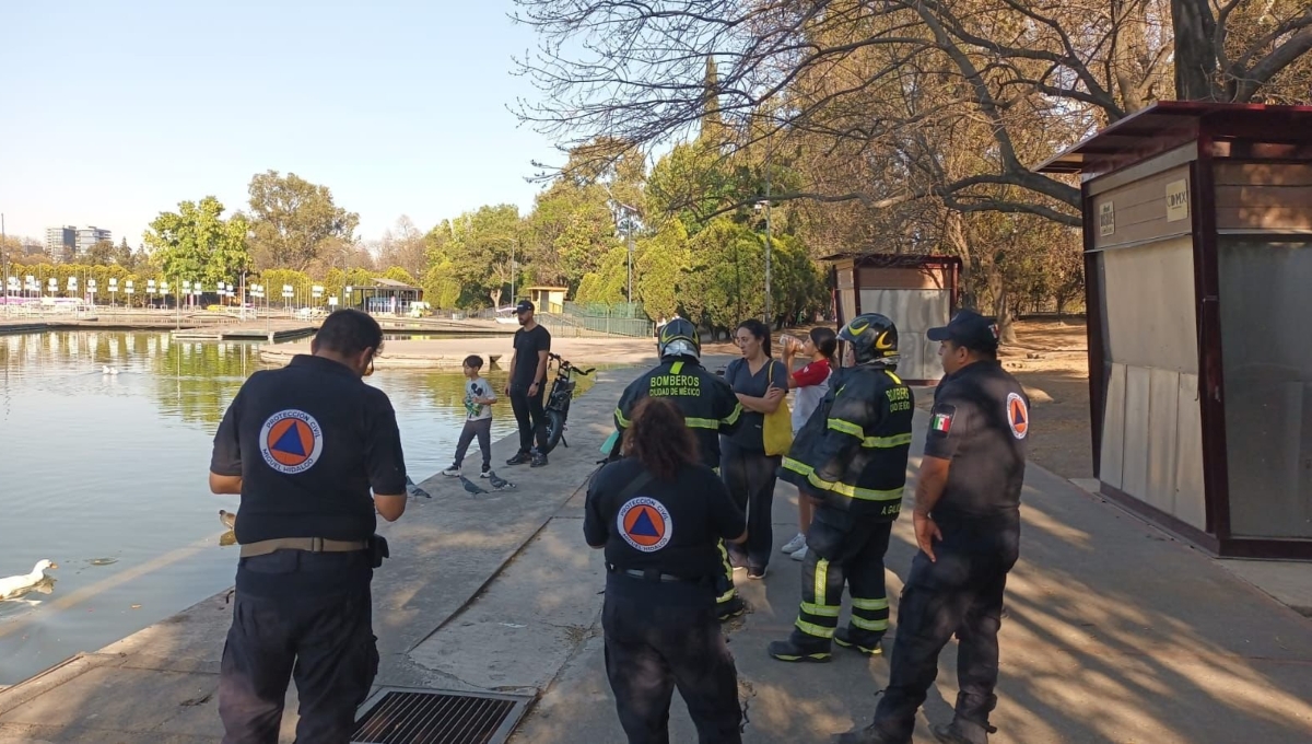 La familia fue rescatada sana y salva del lago de Chapultepec La familia fue rescatada sana y salva del lago de Chapultepec