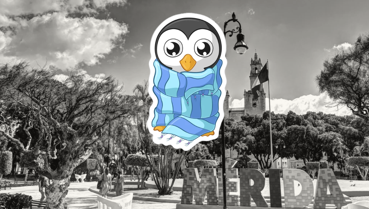 Se esperan picos de rachas de vientos de hasta 70 kilómetros por hora Se esperan picos de rachas de vientos de hasta 70 kilómetros por hora