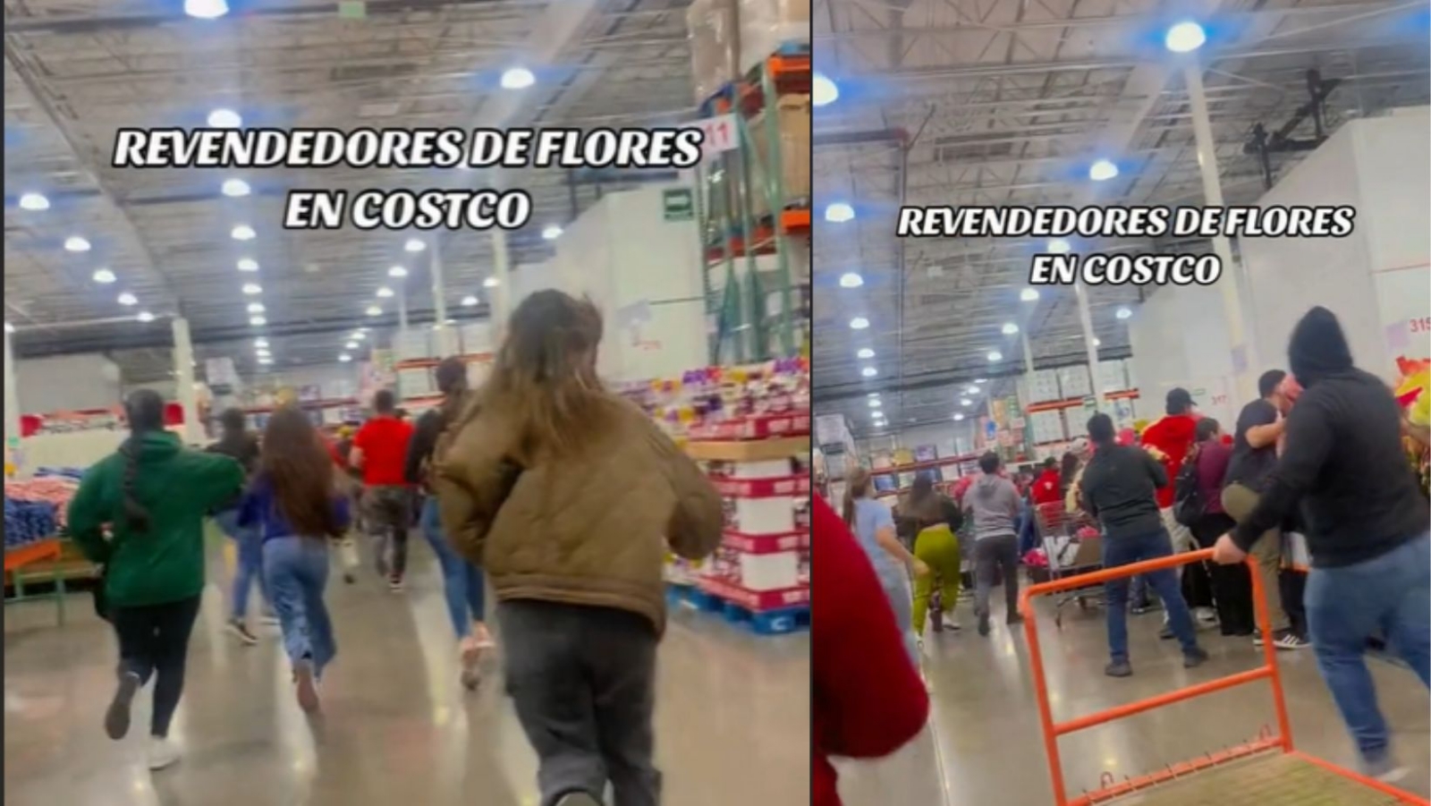 Pelean en Costco para poder revender flores Pelean en Costco para poder revender flores