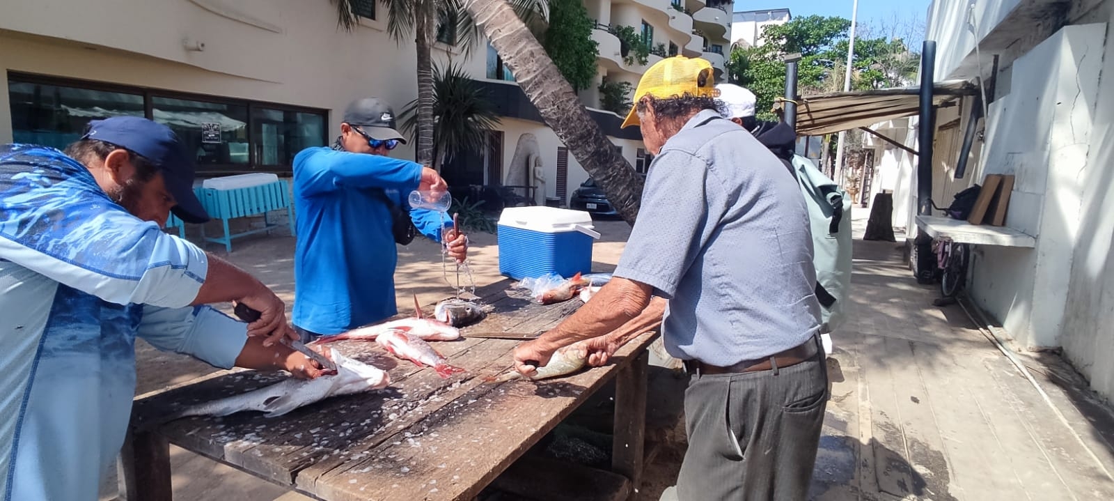 Tienen que aprovechar las pocas horas disponibles, para tener qué vender.