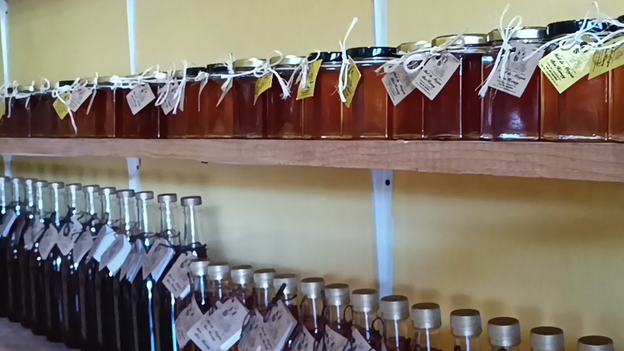En la localidad Macario Gómez hay una cooperativa que reúne a 300 productores En la localidad Macario Gómez hay una cooperativa que reúne a 300 productores
