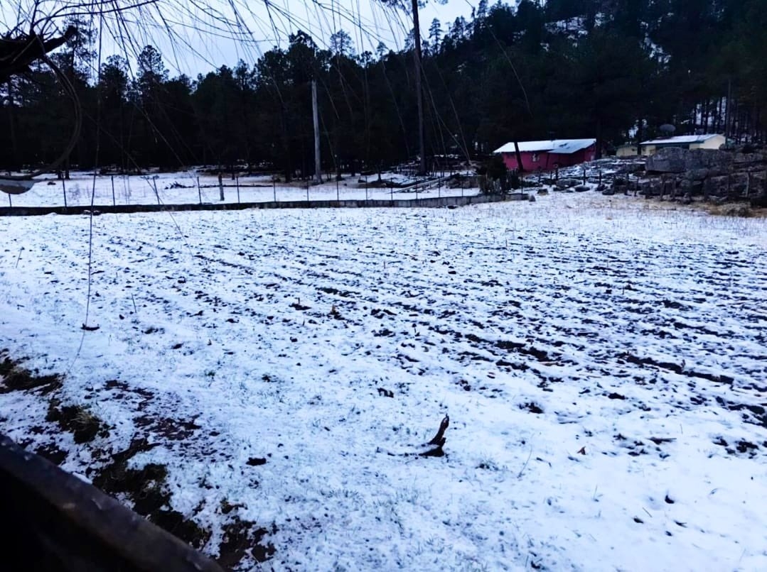 Internautas comparte imágenes de la nevada que se registró en distintas partes de México Internautas comparte imágenes de la nevada que se registró en distintas partes de México