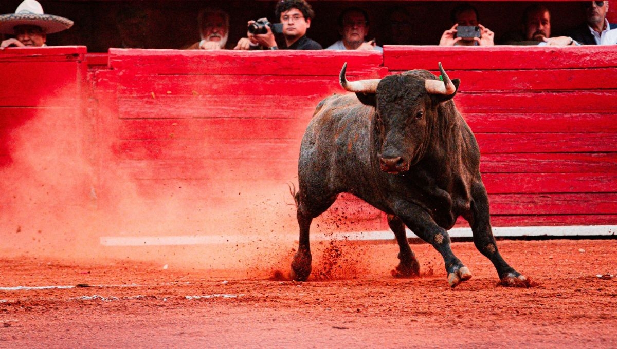 El estado del tiempo no menguó la protesta para defender a los toros El estado del tiempo no menguó la protesta para defender a los toros