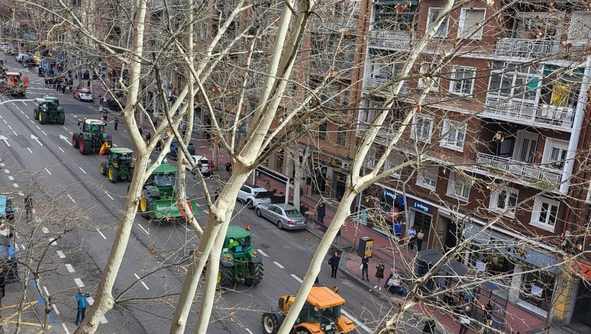 Agricultores españoles toman Madrid para continuar con la protestas que iniciaron desde el 6 de febrero Agricultores españoles toman Madrid para continuar con la protestas que iniciaron desde el 6 de febrero