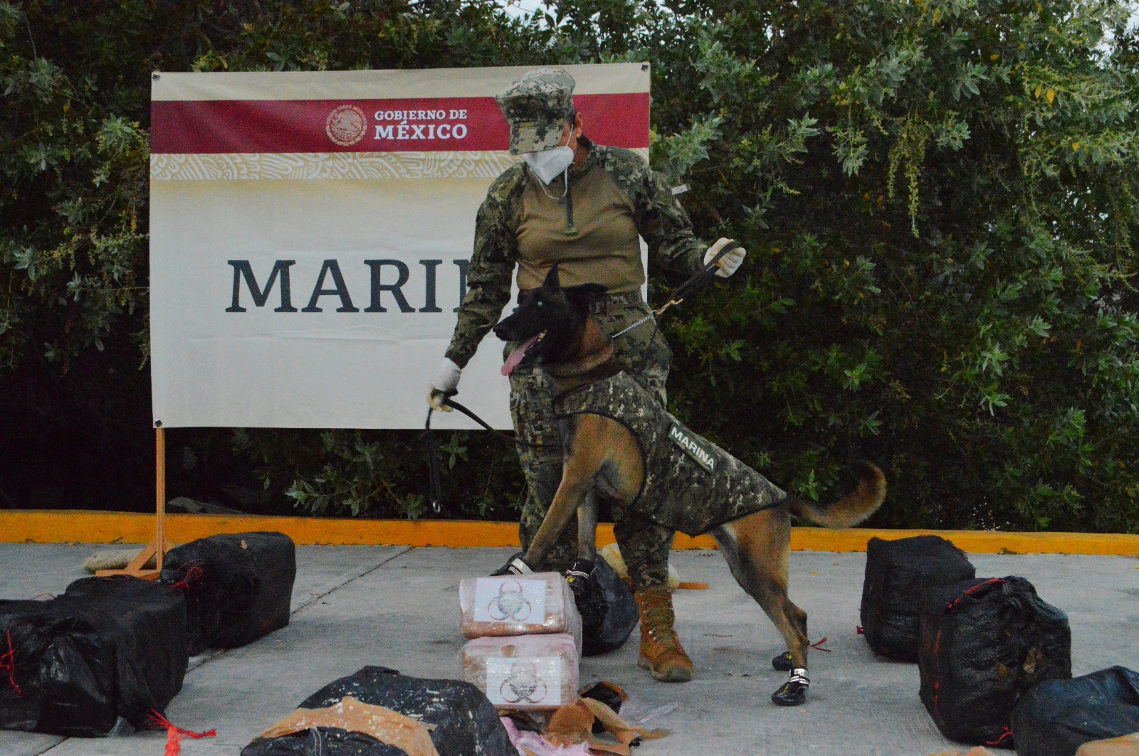 La Marina hizo un operativo en el que aseuró kilogramos de droga.
