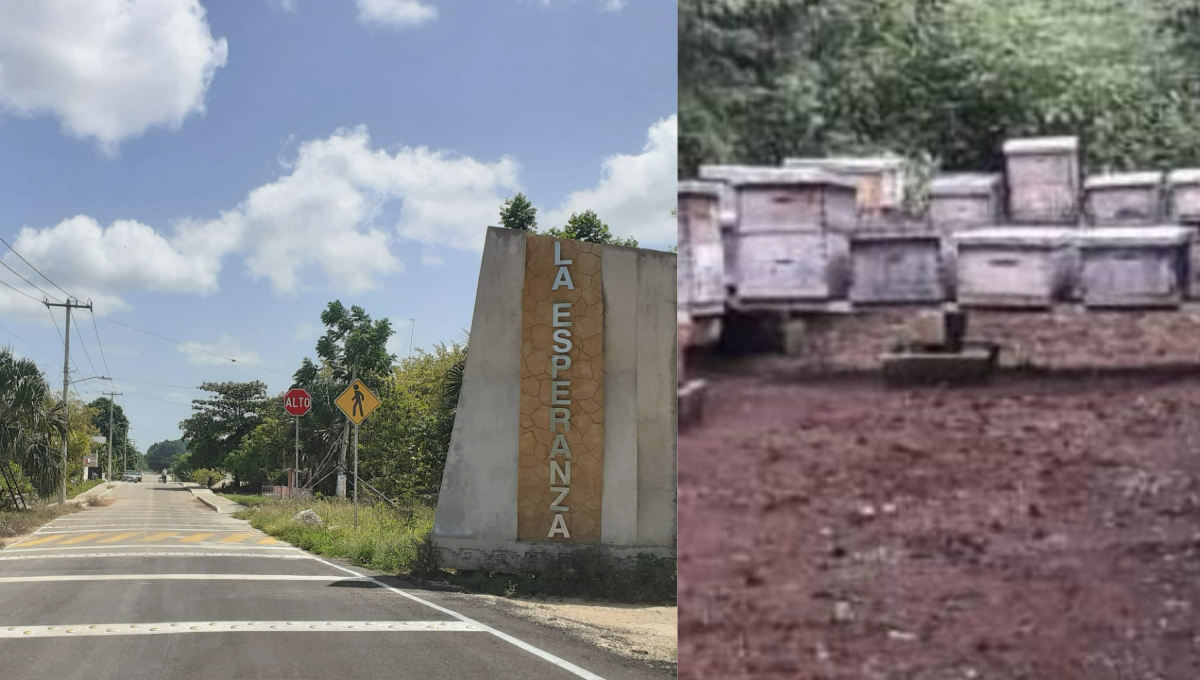 El hombre habría muerto por las picaduras de las abejas El hombre habría muerto por las picaduras de las abejas