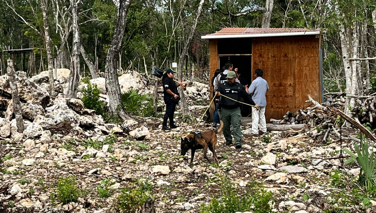 Residentes mencionaron que la zona se encuentra bajo la influencia de presuntos criminales, que usaban una casa precariamente construida, ahora abandonada.