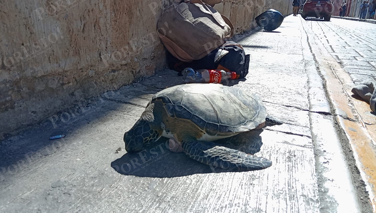 Efectivos motorizados activaron un protocolo de búsqueda por el Centro Histórico