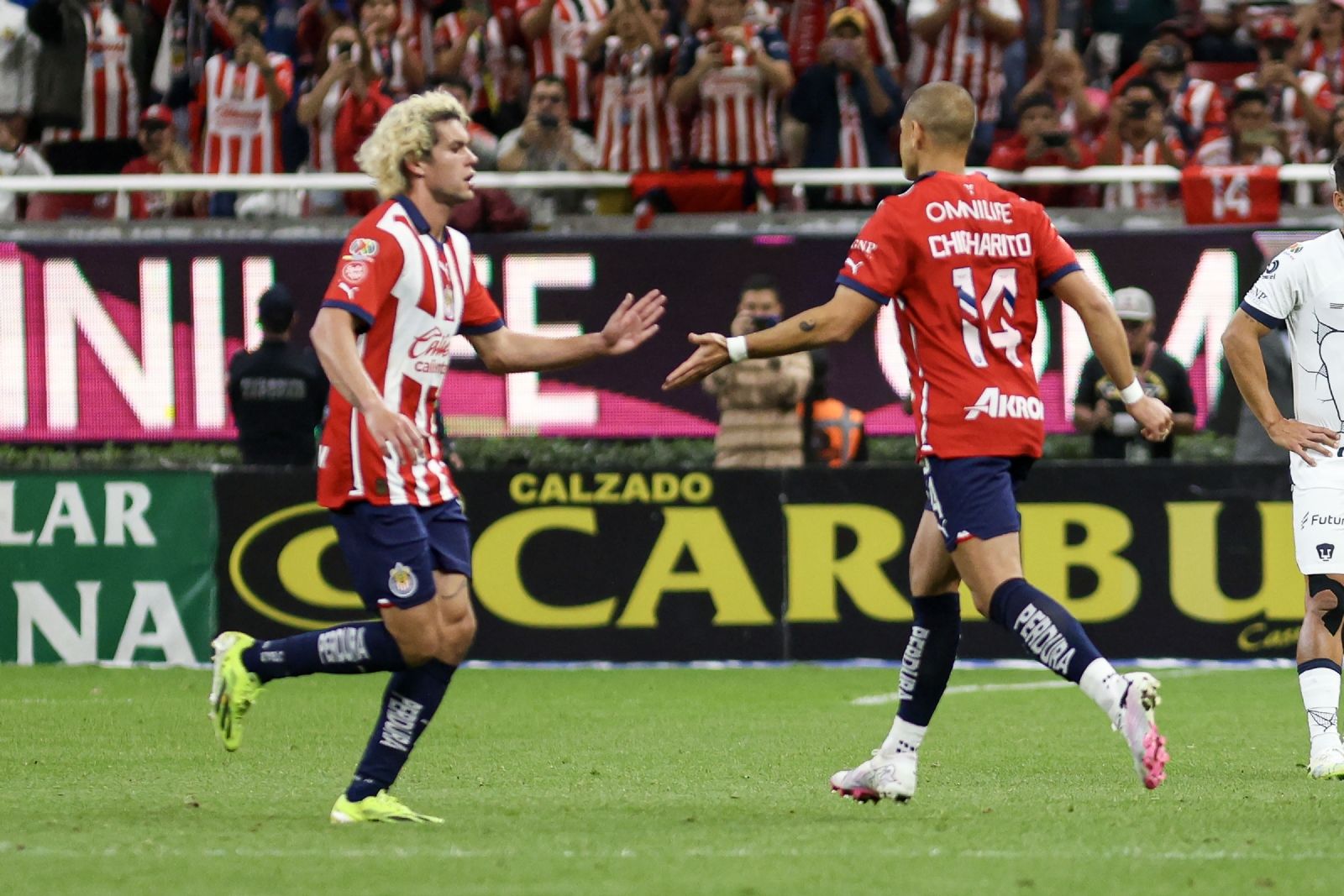 Chivas y Pumas se enfrentaron este sábado en el Clausura 2024 de la Liga MX en el Estadio Akron, el resultado fue 3-1 favor del local Chivas y Pumas se enfrentaron este sábado en el Clausura 2024 de la Liga MX en el Estadio Akron, el resultado fue 3-1 favor del local