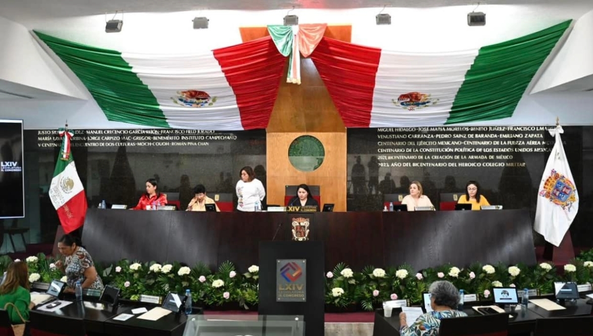 Los principios que serán incorporados son el interés superior de la niñez Los principios que serán incorporados son el interés superior de la niñez