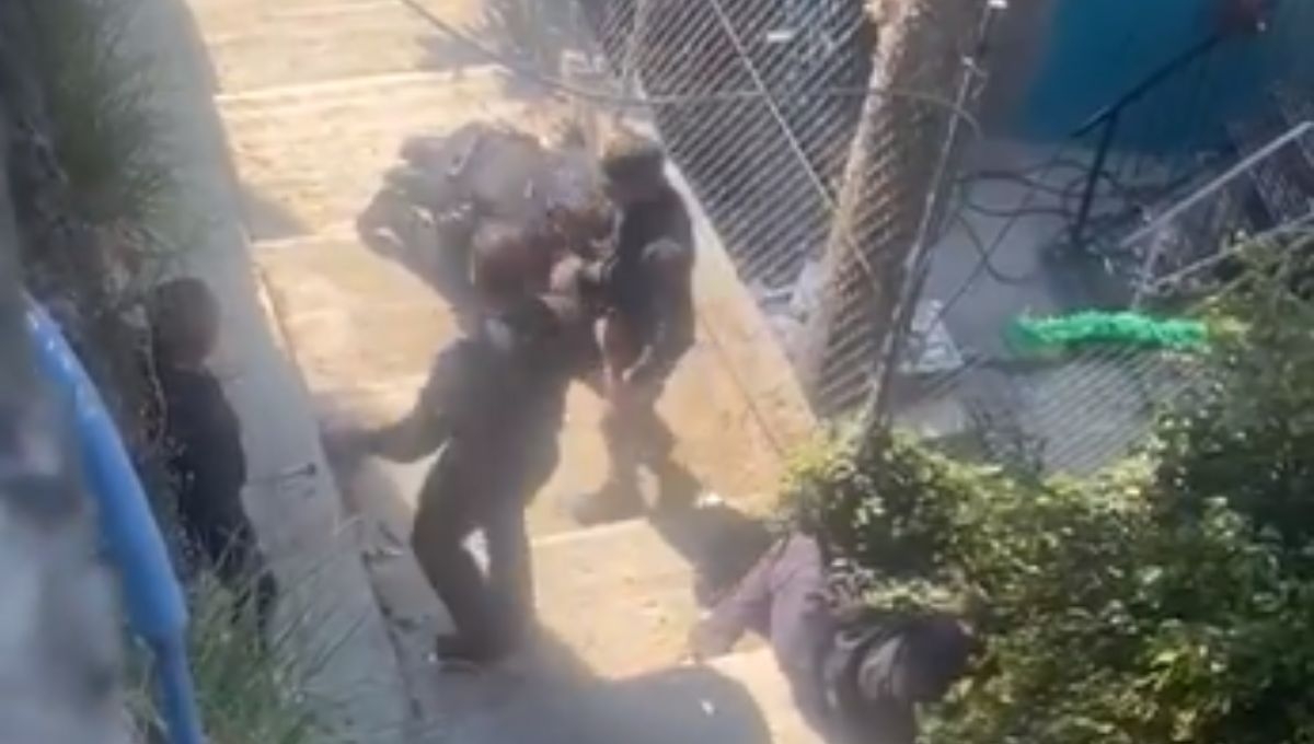 El enfrentamiento armado habría involucrado a miembros del crimen organizado