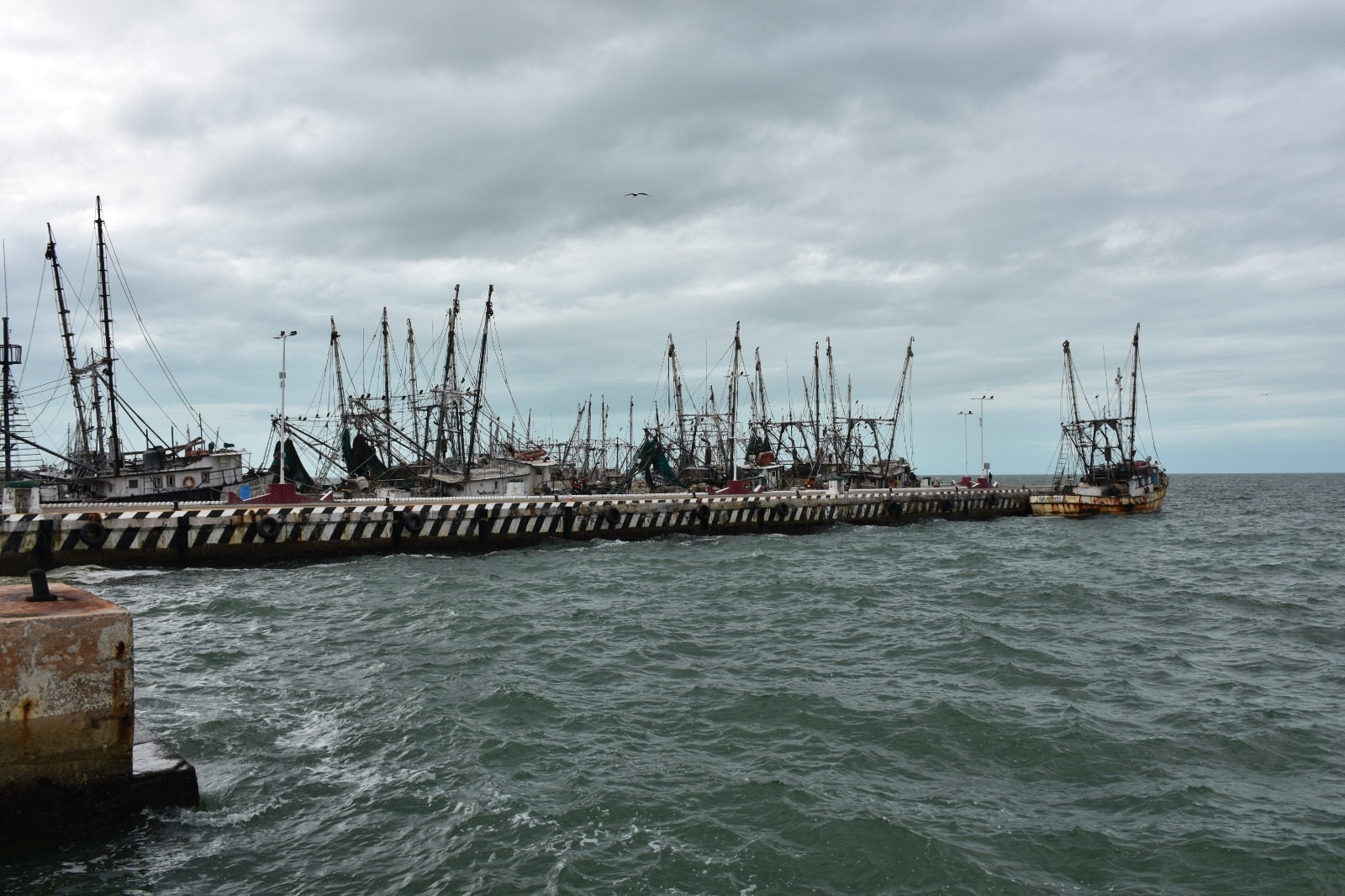 Los familiares acudieron al Muelle de Lerma para pedir informes siendo notificados del suceso