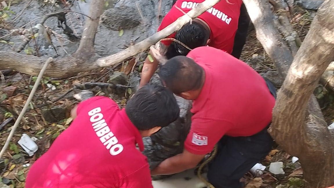 El hombre fue llevado al Hospital General de Especialidades "Dr. Javier Buenfil. Osorio"